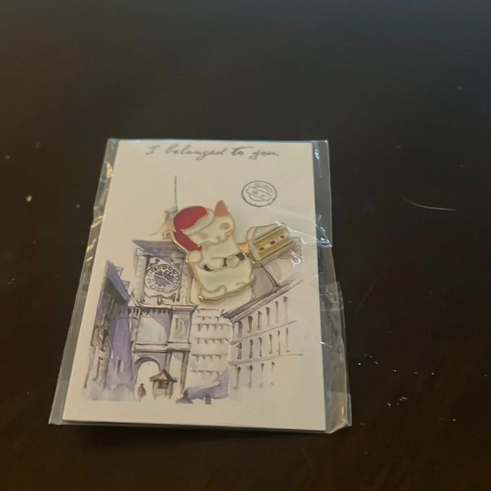 Pin - Picture 1 of 2